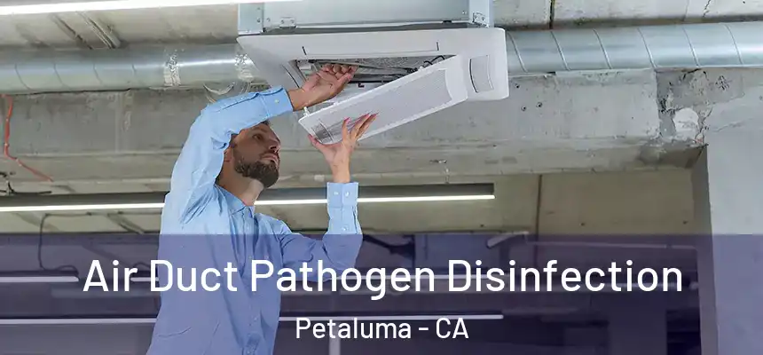  Air Duct Pathogen Disinfection Petaluma - CA
