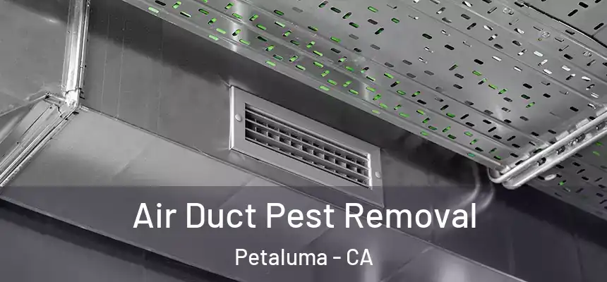  Air Duct Pest Removal Petaluma - CA