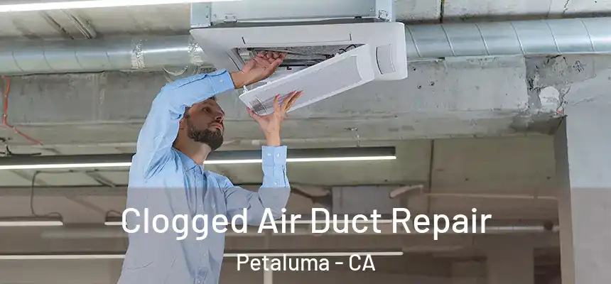  Clogged Air Duct Repair Petaluma - CA