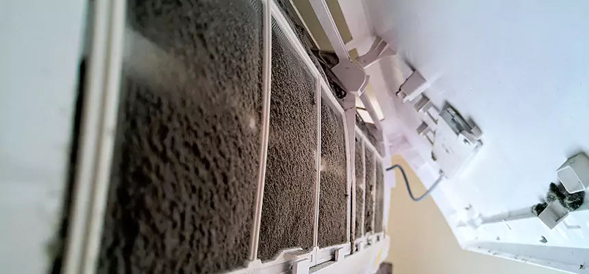 Preventive Air Duct Bacteria Removal in Petaluma