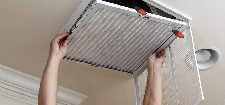 Preventive Cockroach-Proofing for Ducts in Petaluma