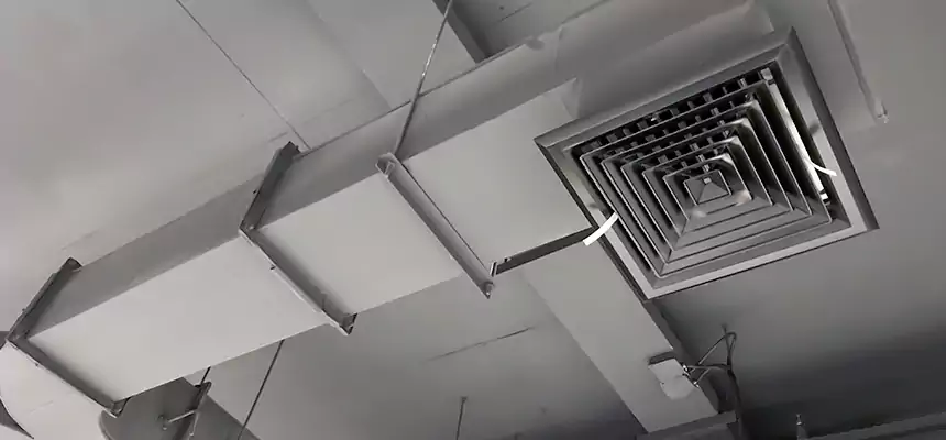 Restorative Allergy Relief Vent Cleaning – Coil, Blower & Housing Detail in Petaluma