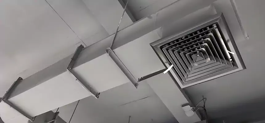 Our Pest Removal From Ducts Services in Petaluma, CA