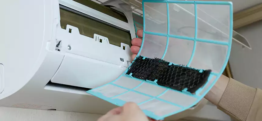 Gentle Ductwork Odor-Control Pet Dander Duct Cleaning in Petaluma, CA