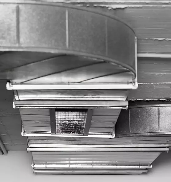 Professional Air Duct Pet Hair Removal in Petaluma, CA