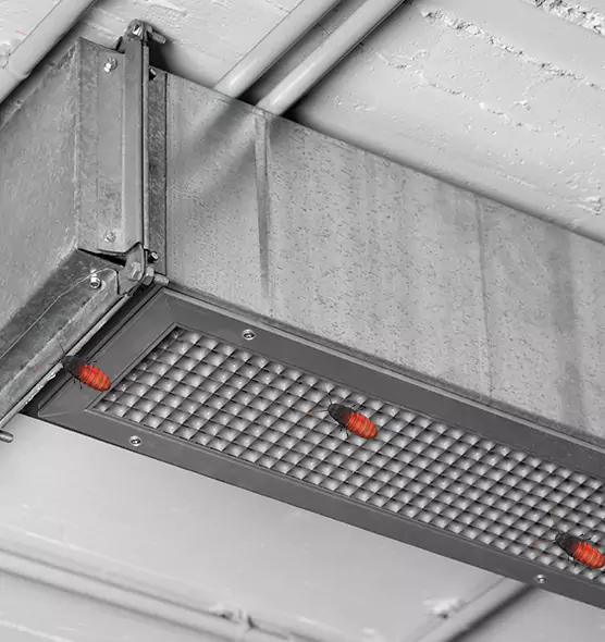 Affordable Insect Removal from Air Ducts in Petaluma, CA