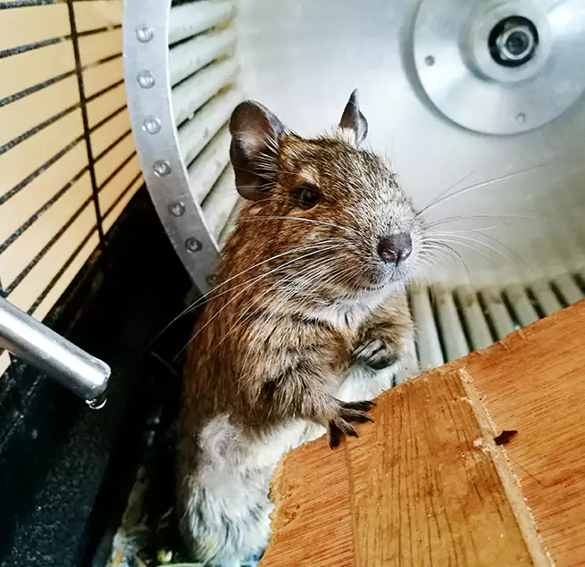 Why Homeowners & Businesses Trust Us Petaluma, CA