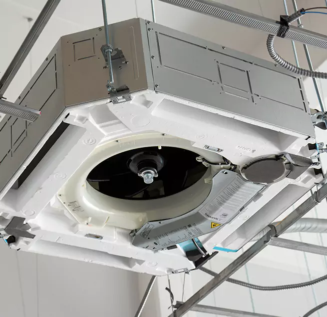 Why Homeowners & Businesses Trust Us in Petaluma, CA?