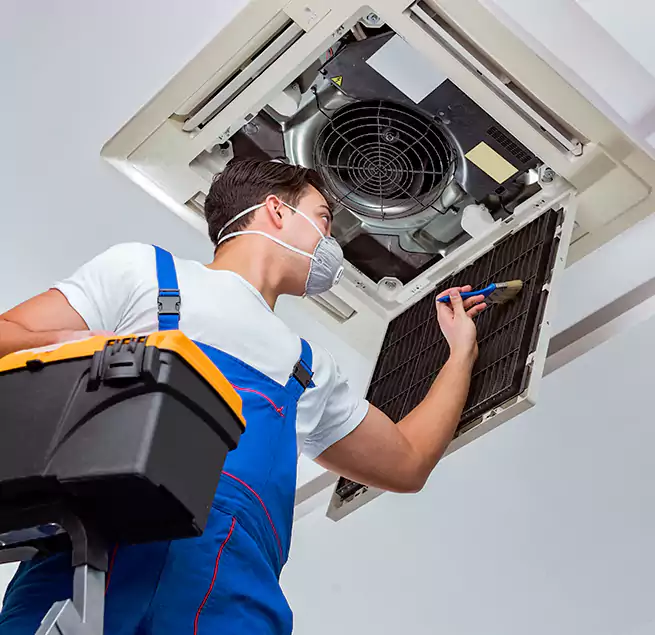 Why Homeowners & Businesses Trust Us in Petaluma, CA