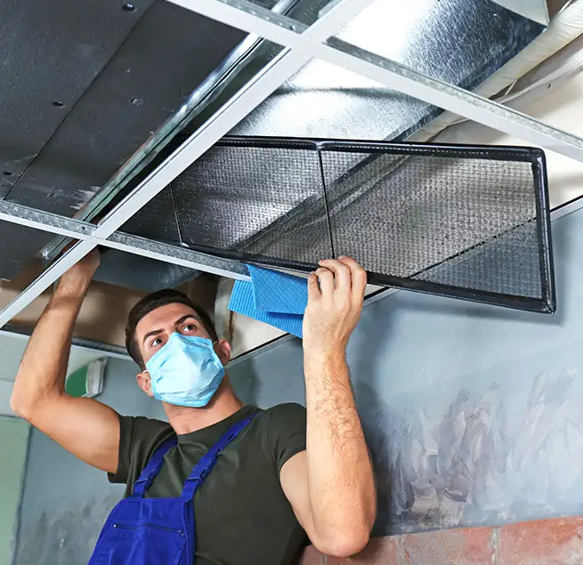 Why Homeowners & Businesses Trust Us in Petaluma, CA?