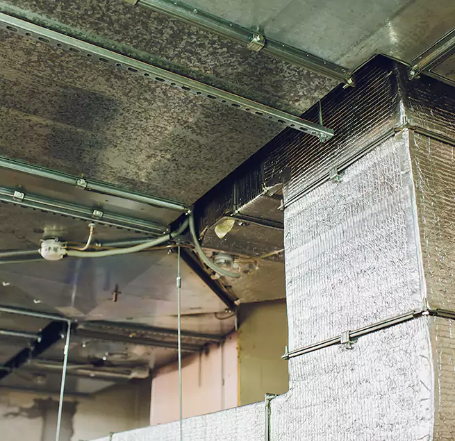 Why Homeowners & Businesses Trust Us in Petaluma, CA?