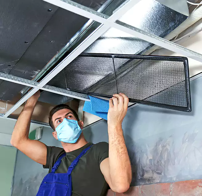 Why Homeowners Businesses Trust Us in Petaluma, CA